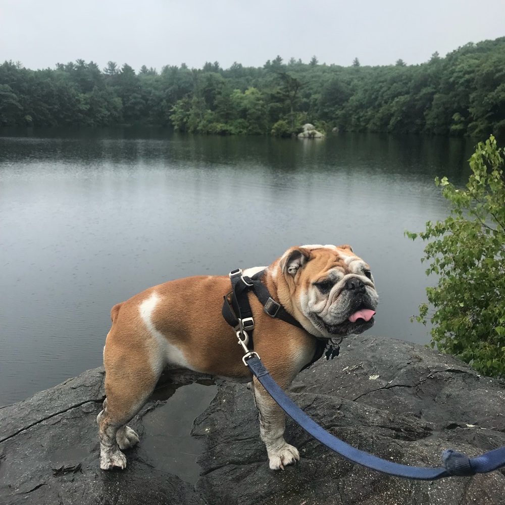 Meet your Posher, Krista